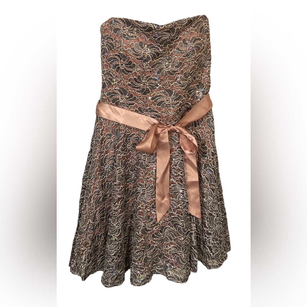 Sparkly Silver & Pink Evening Dress